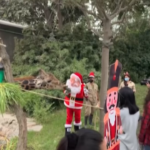Perù, atmosfera natalizia alla zoo di Lima