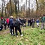 ‘A scuola di foresta’: bosco e natura diventano materia di studio a Milano