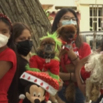 Anche i cani vestiti a festa per Natale: concorso a quattro zampe a Lima