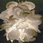 Energia, Wwf: “Infrastrutture gas parte onerosa in bollette”