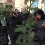 A Gerusalemme il municipio regala alberi di Natale ai cittadini