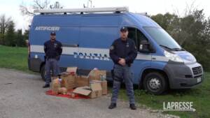 Capodanno: fuochi d’artificio, i consigli della polizia per festeggiare in sicurezza