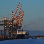 Gioia Tauro, sequestrate tre tonnellate di cocaina al porto