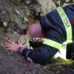 Como, vigili del fuoco intervengono per salvare due cani bloccati in un cunicolo