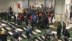 A Tokyo la prima asta di tonno dell’anno: venduto un pesce di 211 chili per 145 mila dollari