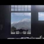 Golden Globe, ecco i vincitori: da “Il potere del cane” a “West Side Story”, passando per la serie tv “Squid Game”