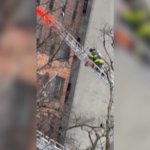 New York, il salvataggio di un bambino da una finestra dal palazzo del Bronx in fiamme