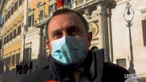 Quirinale, Rosato: “Draghi al Colle? Bisogna trovare un sostituto e non è facile”