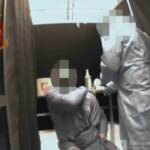 Ancona, così si ottenevano i falsi green pass: infermiere fingeva di vaccinare a buttava via le fiale