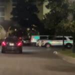 TV, trovato morto in un hotel il comico Bob Saget