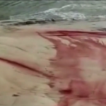 Scala dei Turchi imbrattata, individuati i vandali