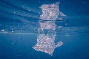 Greenpeace, anche il paradiso delle Tremiti è minacciato dall'inquinamento da plastica