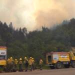 Vento forte e caldo record, torna l’emergenza incendi in Patagonia