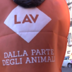 Napoli, Lav lancia la sfida green al sindaco Manfredi