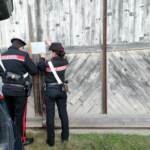 Torino: coniugi trovati morti in auto, forse omicidio-suicidio