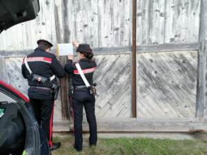 Torino: coniugi trovati morti in auto, forse omicidio-suicidio