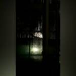 Viareggio, la lunga trattativa con l’uomo barricato in casa