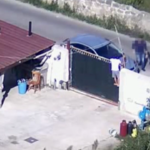 Palermo, blitz antidroga: 22 misure cautelari, 8 in carcere