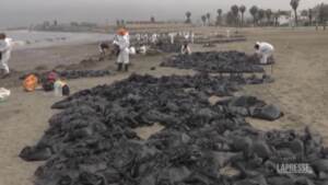 Perù, le onde per l’eruzione di Tonga provocano perdite di petrolio da una raffineria: è disastro ambientale