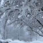 Usa, nevicata record in Indiana: mai così tanta neve dal 1908