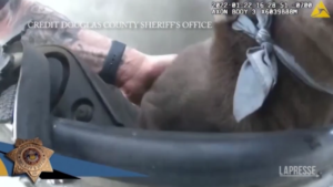 Il salvataggio da film di un cane da un’auto in fiamme in Colorado