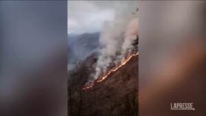 Vercelli, incendio boschivo vicino a Varallo Sesia: vigili del fuoco impegnati fino a notte fonda
