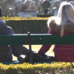 Vienna si prepara a San Valentino con dolci a tema