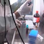 Covid, in Italia calano incidenza e indice trasmissibilità