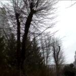 Donbass, suonano le sirene a Donetsk: forte esplosione in città