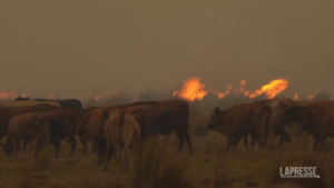 Emergenza incendi in Argentina: brucia da giorni la provincia di Corrientes