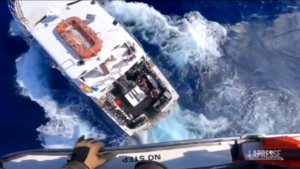 Bahamas, pescatore morso da uno squalo: salvato dalla Guardia Costiera