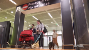 Covid, stop alla quarantena per viaggiatori extra Ue