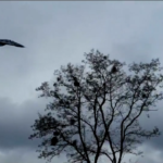 Ucraina: jet militari ed esplosioni a Kiev