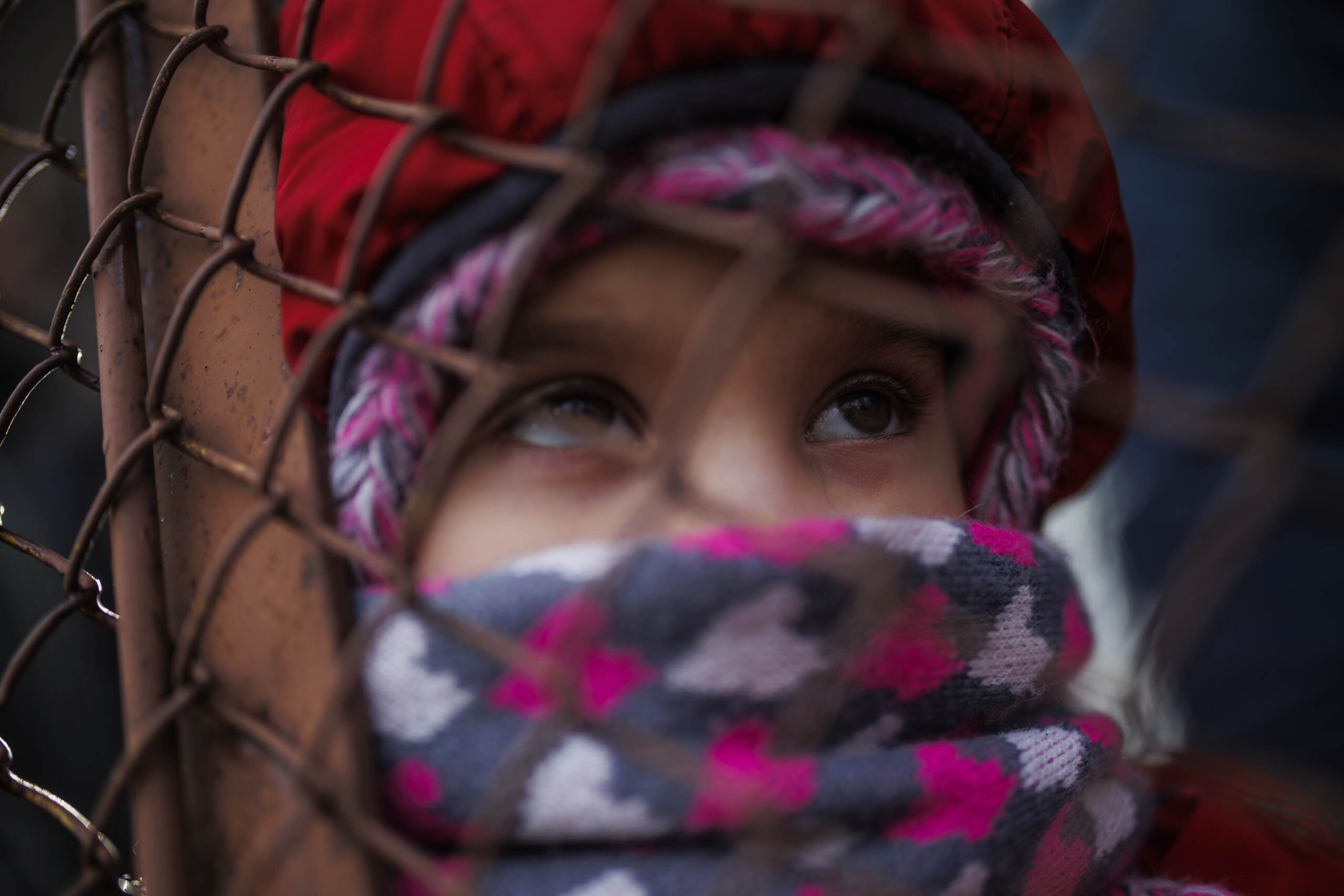 Agenzia Onu per i rifugiati: sale a oltre 800 mila il numero degli ucraini in fuga dalla guerra – LE IMMAGINI