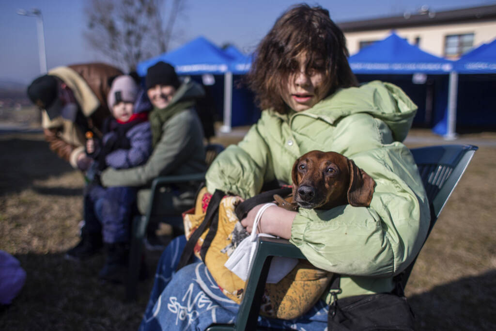 Galleria foto 'Agenzia Onu per i rifugiati: sale a oltre 800 mila il numero degli ucraini in fuga dalla guerra – LE IMMAGINI' - foto 5