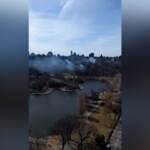 New York, roghi dolosi a Central Park: caccia al piromane