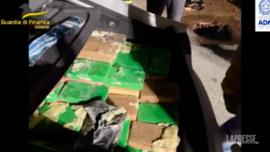 Livorno: sequestrati 158 chili di cocaina in nave mercantile in porto