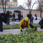 Tulipani contro la guerra a Kiev: i residenti formano lo stemma ucraino con i fiori