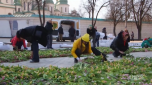 Tulipani contro la guerra a Kiev: i residenti formano lo stemma ucraino con i fiori