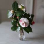 La signora camelia