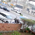 Bari, tentato omicidio di Fabio De Marzo: arrestato il presunto autore. Il video shock della sparatoria