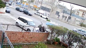 Bari, tentato omicidio di Fabio De Marzo: arrestato il presunto autore. Il video shock della sparatoria