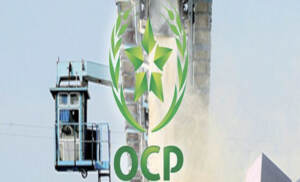 Marocco, Il 2021 è un anno di risultati record e di risultati significativi per l’Office Chérifien des Phosphates (OCP), segnato da un’eccellente performance nel quarto trimestre