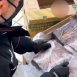 Napoli, blitz antidroga a Frattamaggiore: sequestrati 500 chili di cocaina