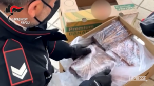 Napoli, blitz antidroga a Frattamaggiore: sequestrati 500 chili di cocaina