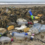 Il Disegno di Legge Salvamare, Wwf: impegno concorde per arginare l’inquinamento da plastica