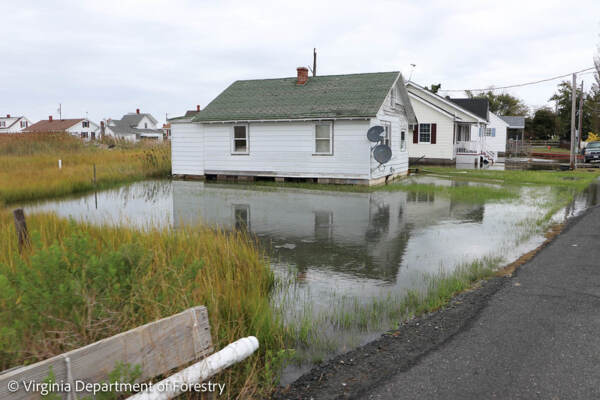 As sea levels rise, can Chesapeake Bay’s Tangier Island survive?