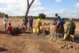 Corne de l’Afrique : des millions de personnes en danger de famine et d’insécurité alimentaire
