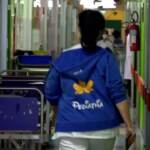 Epatite pediatrica, 11 casi sospetti in Italia