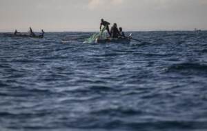 Gangs and crime make perilous work for a marine biologist in Haiti